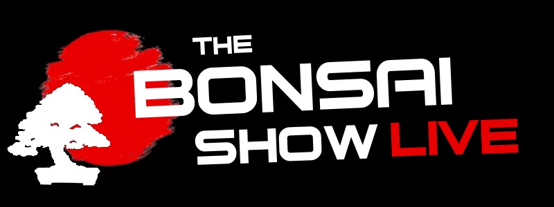 The Bonsai Show Live